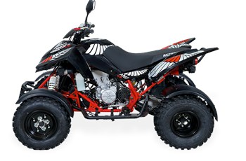 Access AMS 4.38 SM 2018 - Bild 4